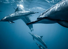 九游娱乐登录：一站式安全登录背后的游戏人生